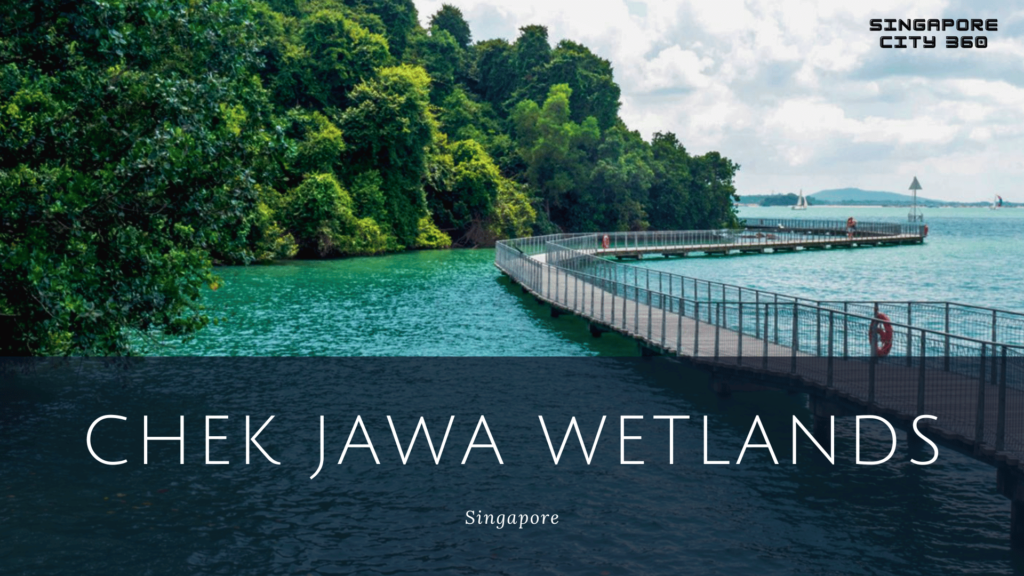 chek jawa wetlands