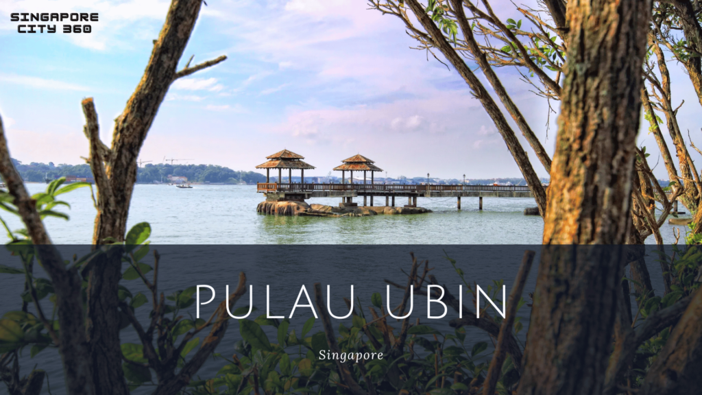 pulau ubin