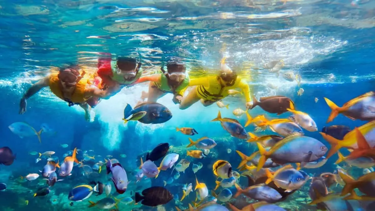 Adventure Cove Waterpark — Adventure Cove Waterpark, Singapore