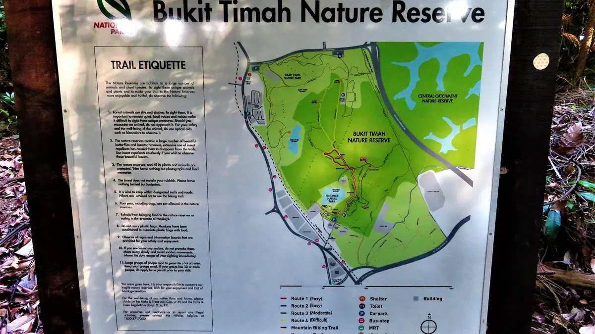 Bukit Timah Nature Reserve — Bukit Timah Nature Reserve, Singapore — forest trail