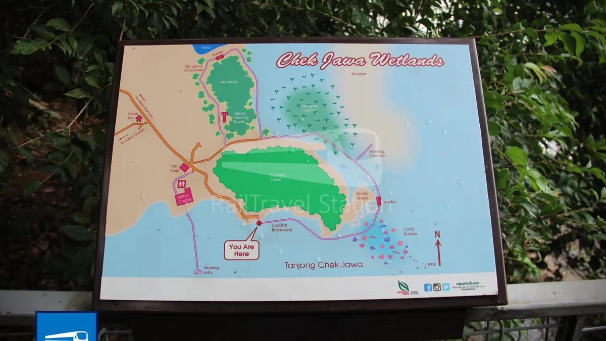 Chek Jawa — Chek Jawa, Singapore