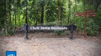 Chek Jawa — Chek Jawa — park in the Southern Islands, Singapore