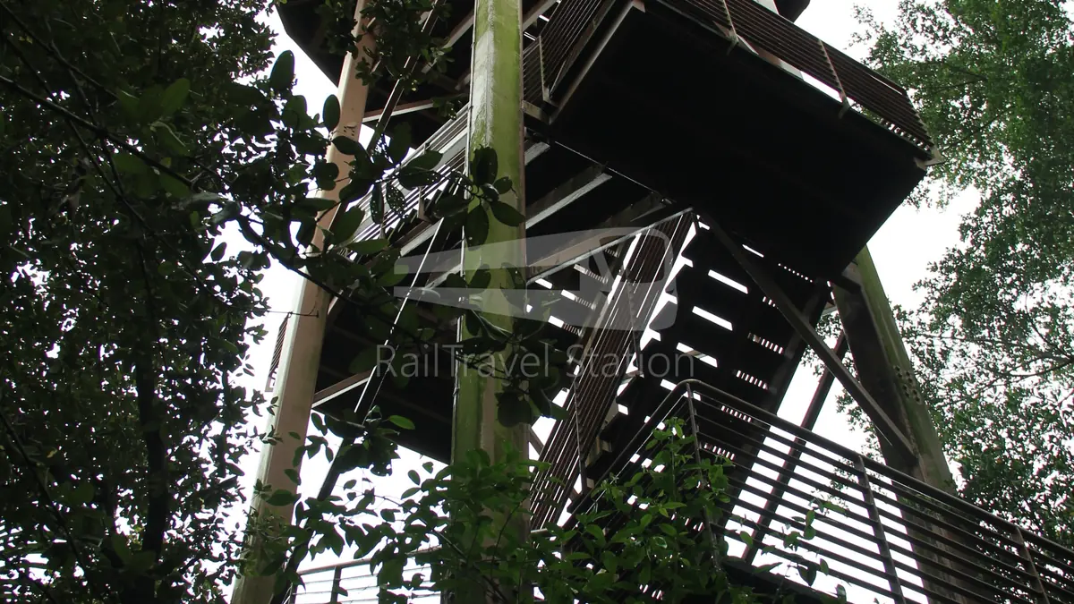 Chek Jawa — Chek Jawa, Singapore