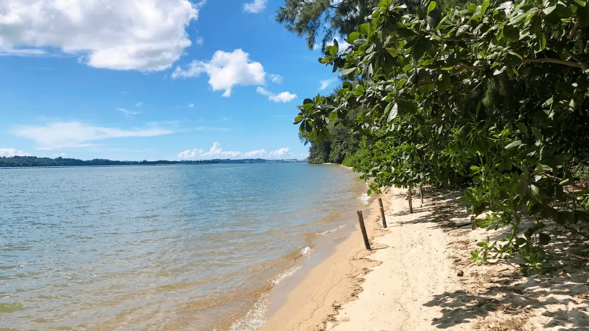 Coney Island Park — Coney Island Park, Singapore — beach