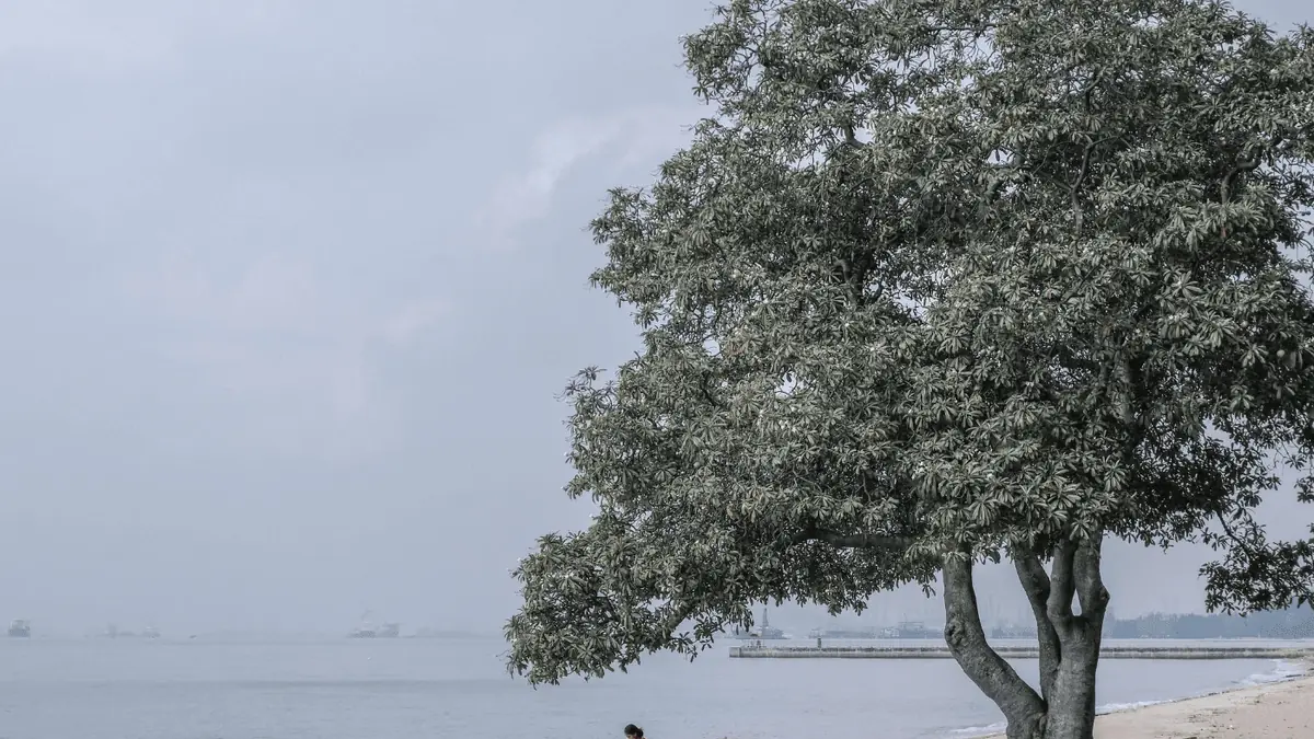 East Coast Park — East Coast Park, Singapore
