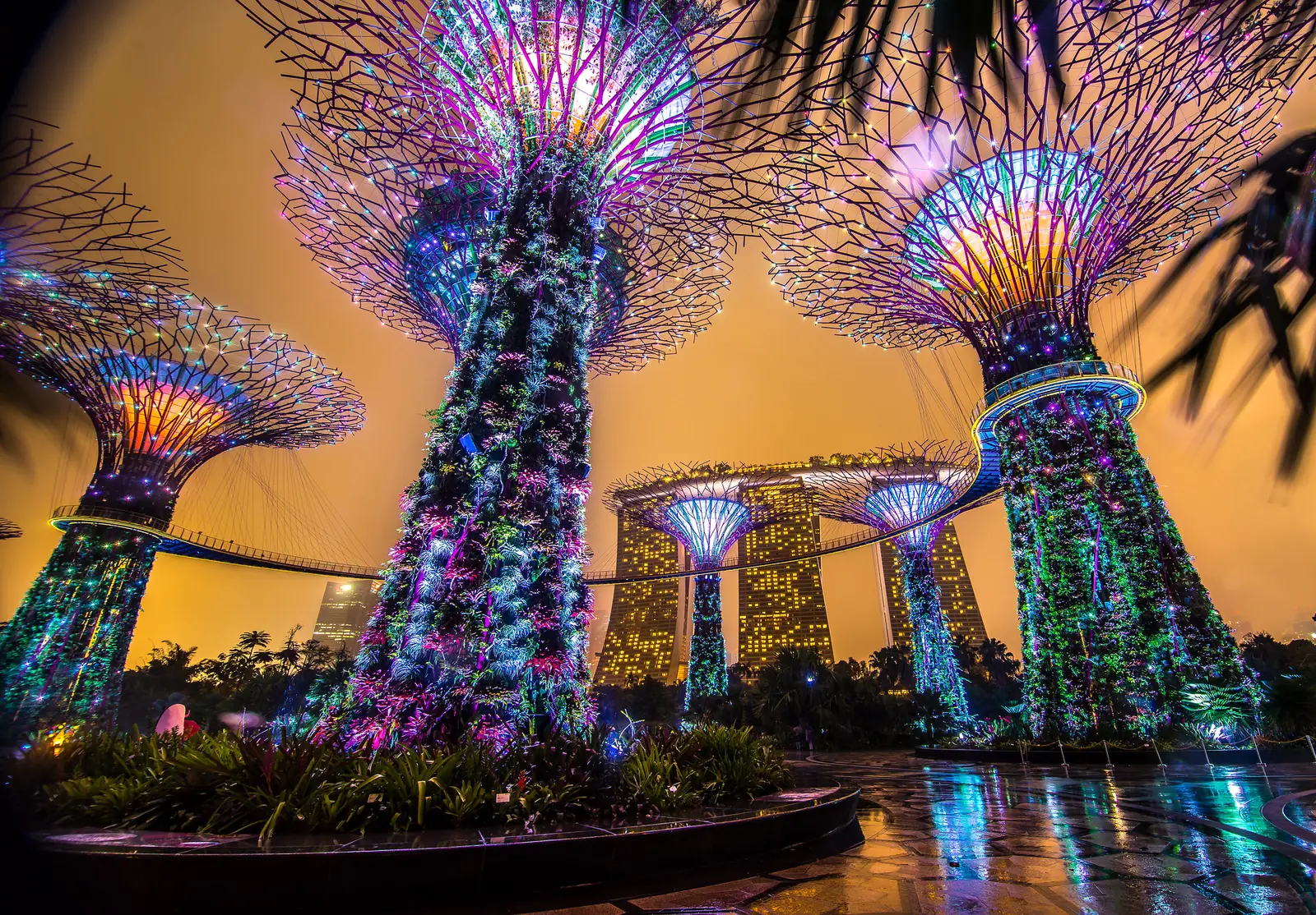 Supertrees lit at dusk in the free outdoor gardens at Gardens by the Bay, Singapore