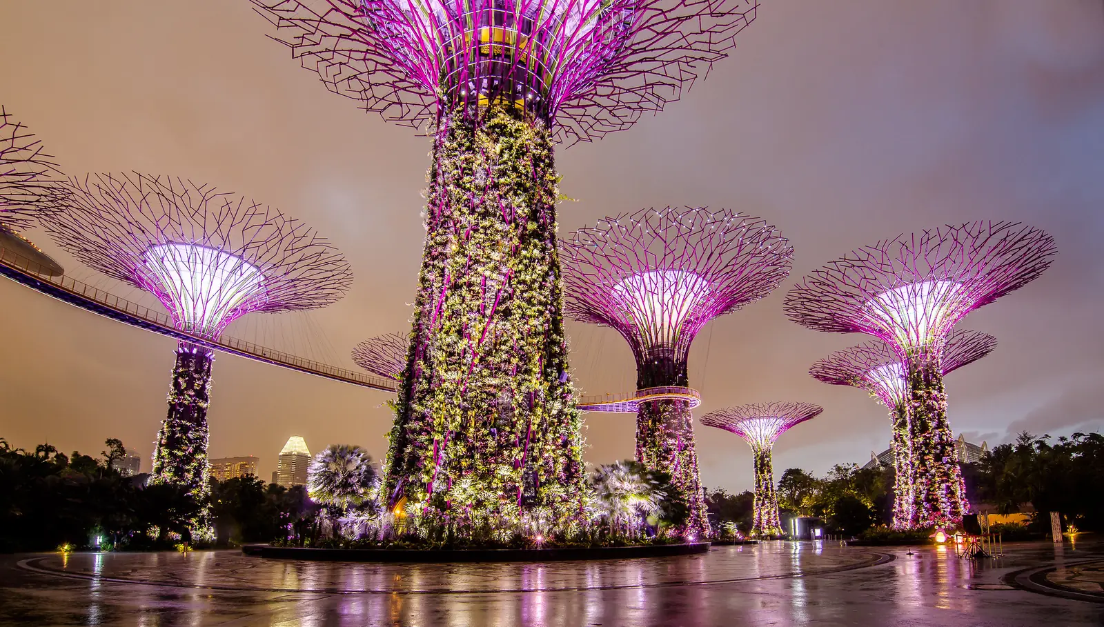 Gardens by the Bay outdoor gardens with the Flower Dome and Cloud Forest conservatories behind