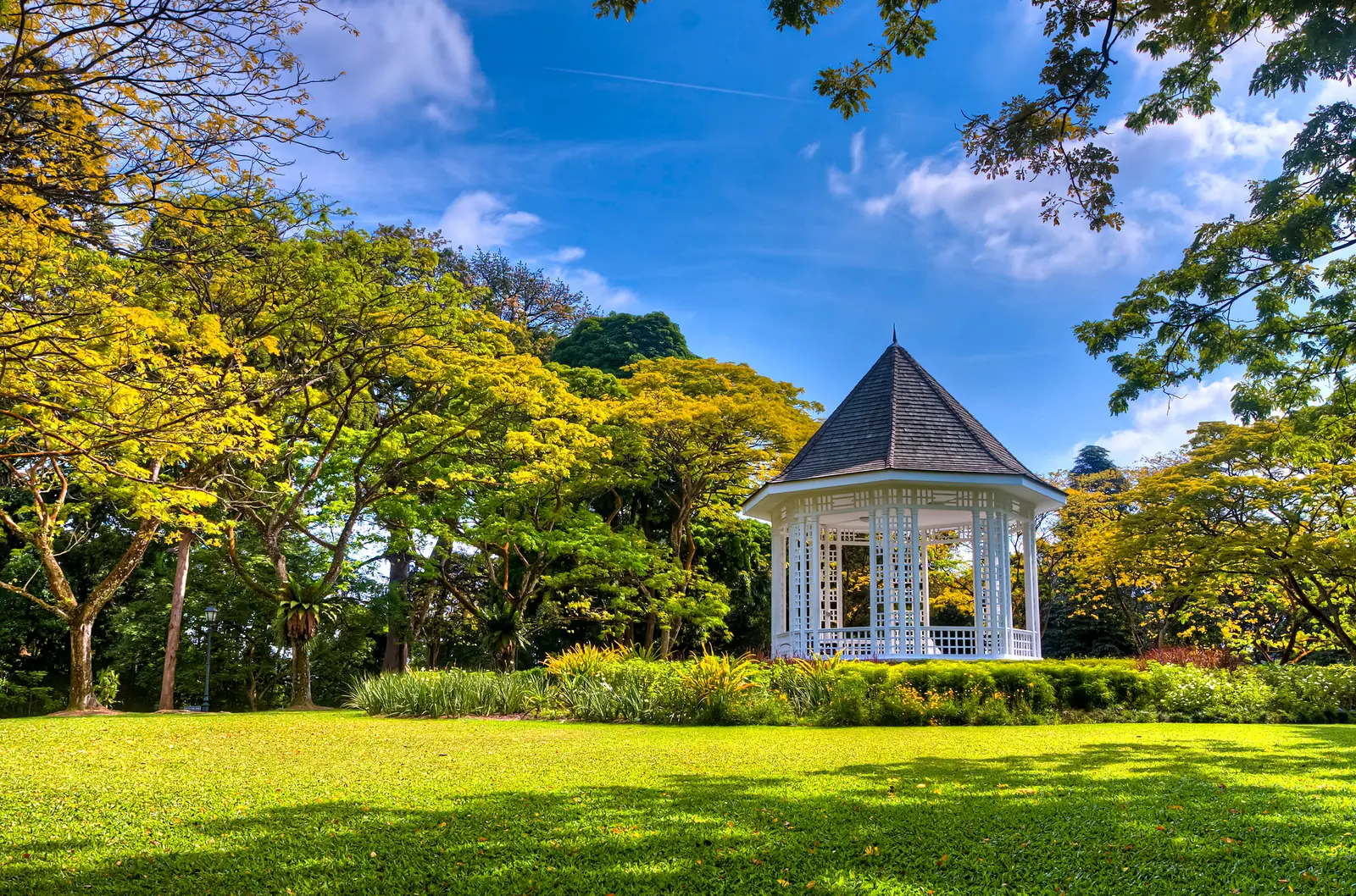 Lawns and mature rain trees at the Singapore Botanic Gardens, which is free to enter every day
