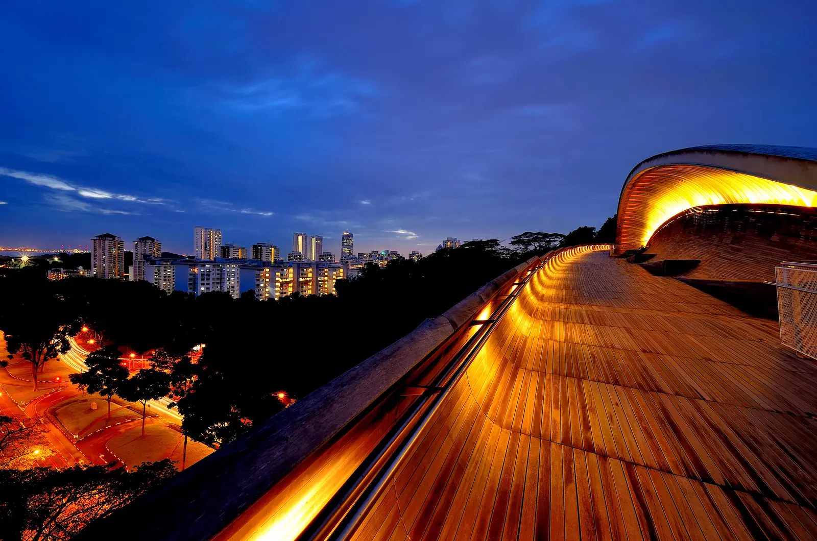 The wave-form timber deck of Henderson Waves, Singapore's tallest pedestrian bridge, on the Southern Ridges