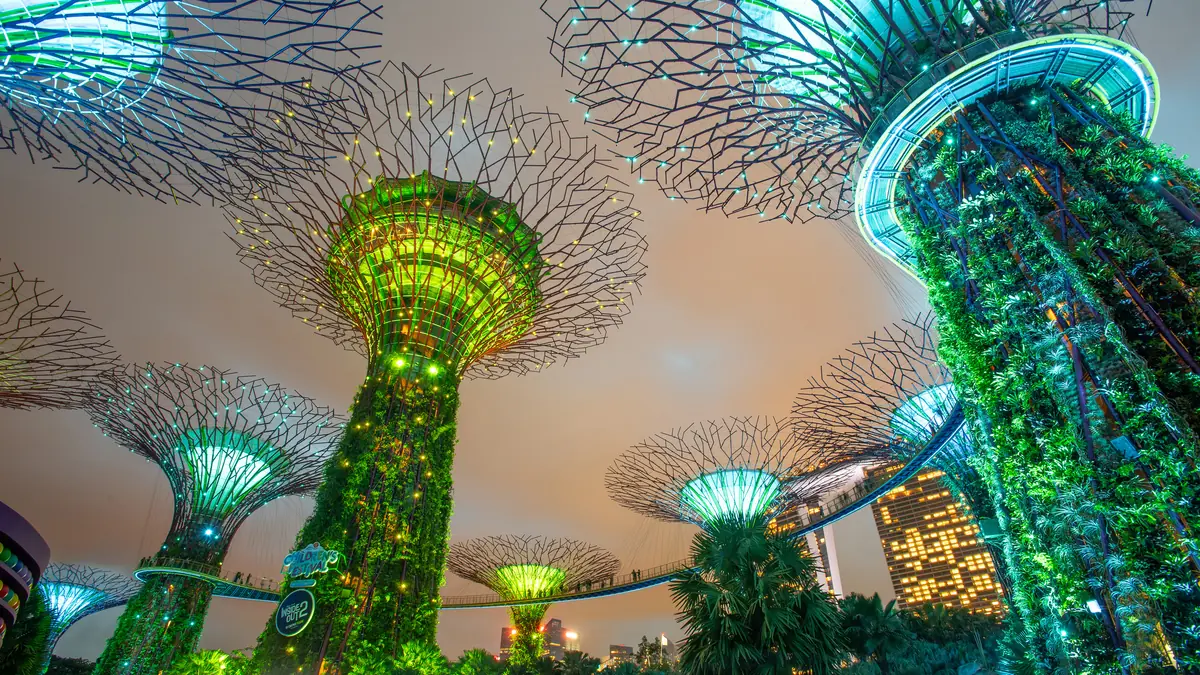 Supertree Grove at Gardens by the Bay