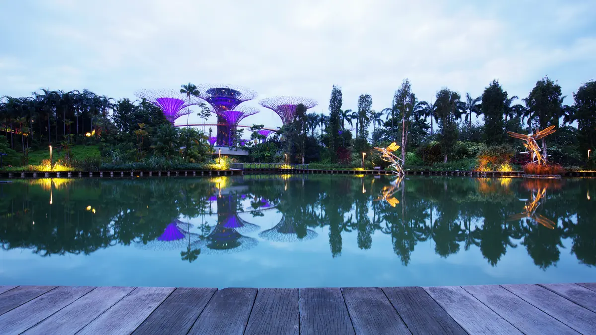Gardens by the Bay — Supertrees glowing purple at dusk reflected in the water of Dragonfly Lake at Gardens by the Bay