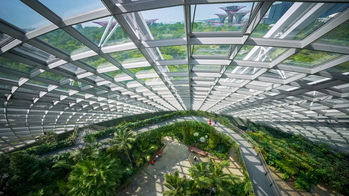 Gardens by the Bay — Looking up through the glass roof of the Cloud Forest conservatory from its elevated walkway