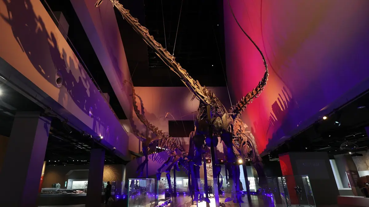 Lee Kong Chian Natural History Museum — Lee Kong Chian Natural History Museum, Singapore