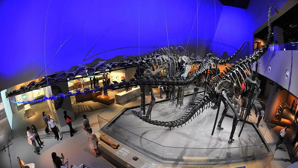 Lee Kong Chian Natural History Museum — Lee Kong Chian Natural History Museum, Singapore