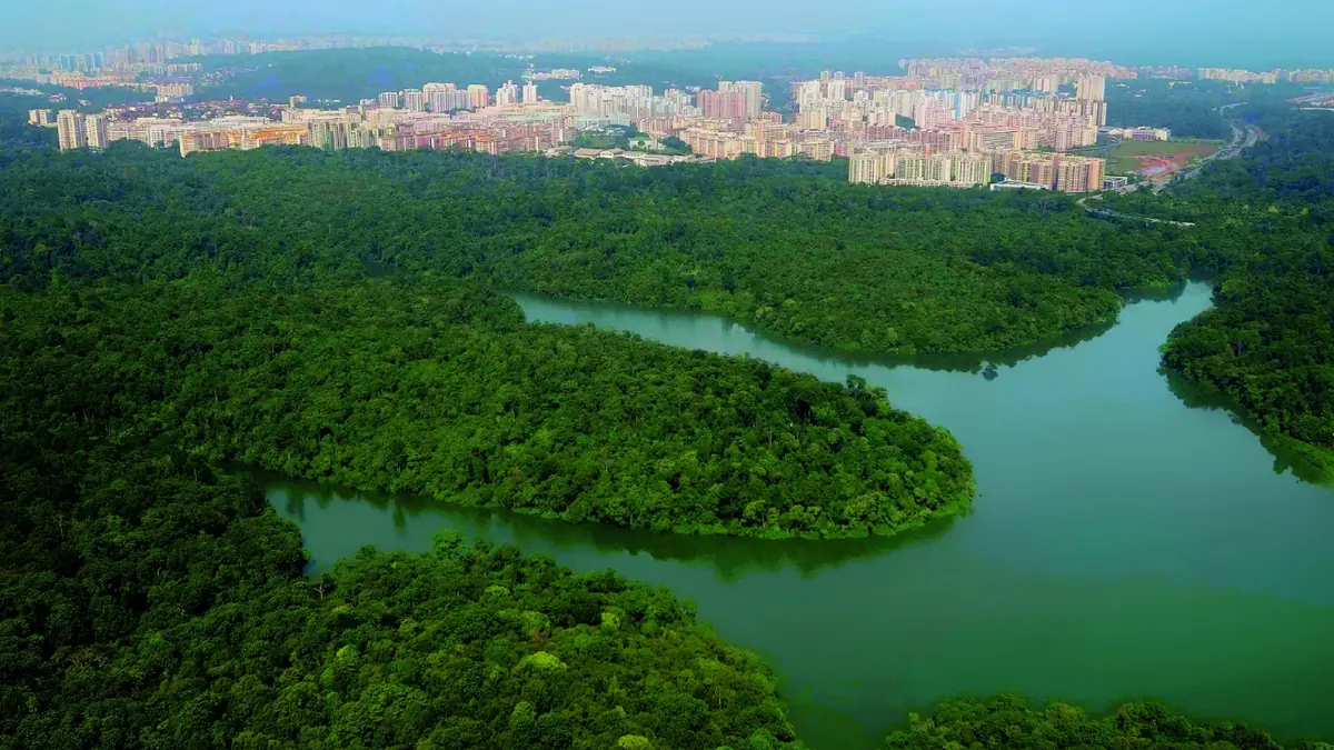 MacRitchie Reservoir — MacRitchie Reservoir, Singapore