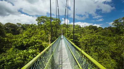 MacRitchie Reservoir — MacRitchie Reservoir — park in northern Singapore, Singapore