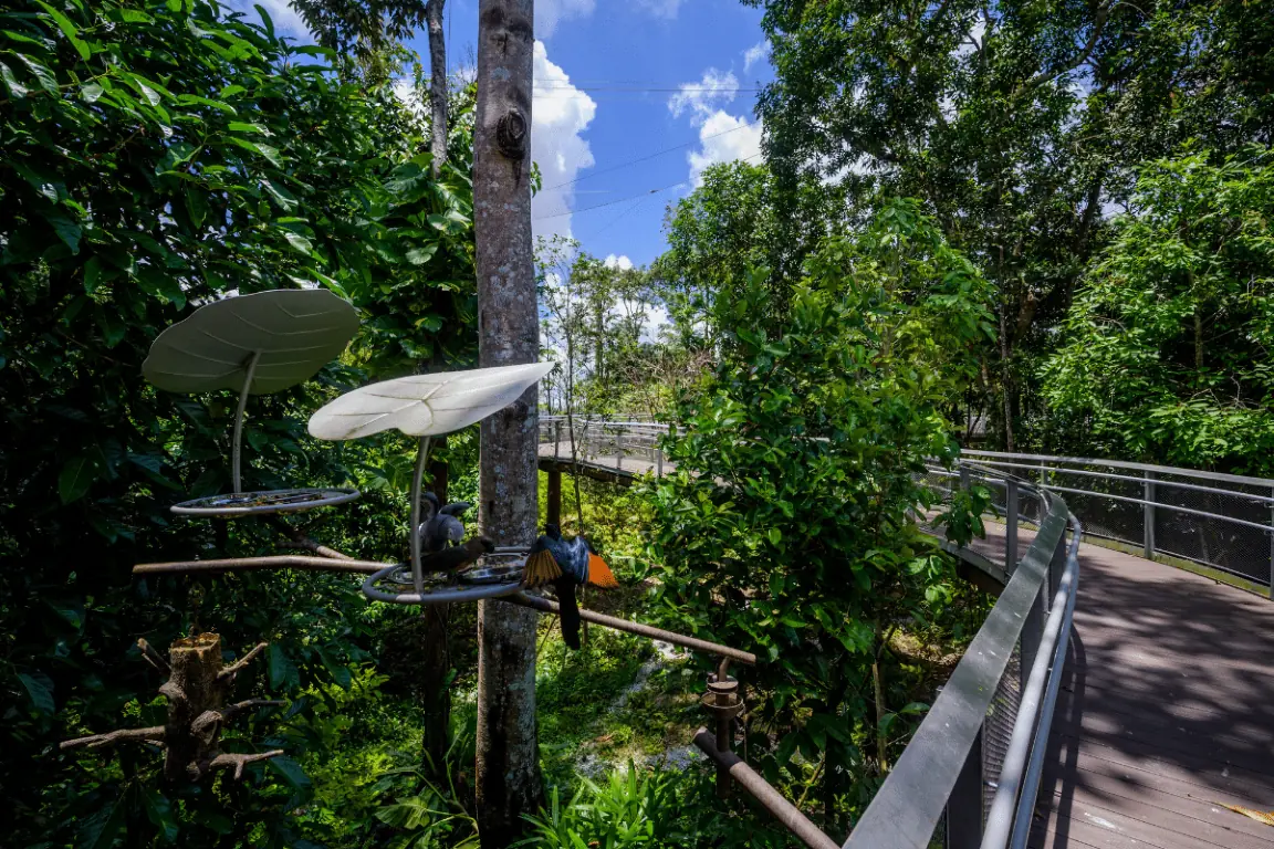 Scarlet macaws flying across Crimson Wetlands at Bird Paradise Singapore