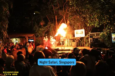 Safari Adventure Tram passing a dimly lit animal habitat at Night Safari Singapore