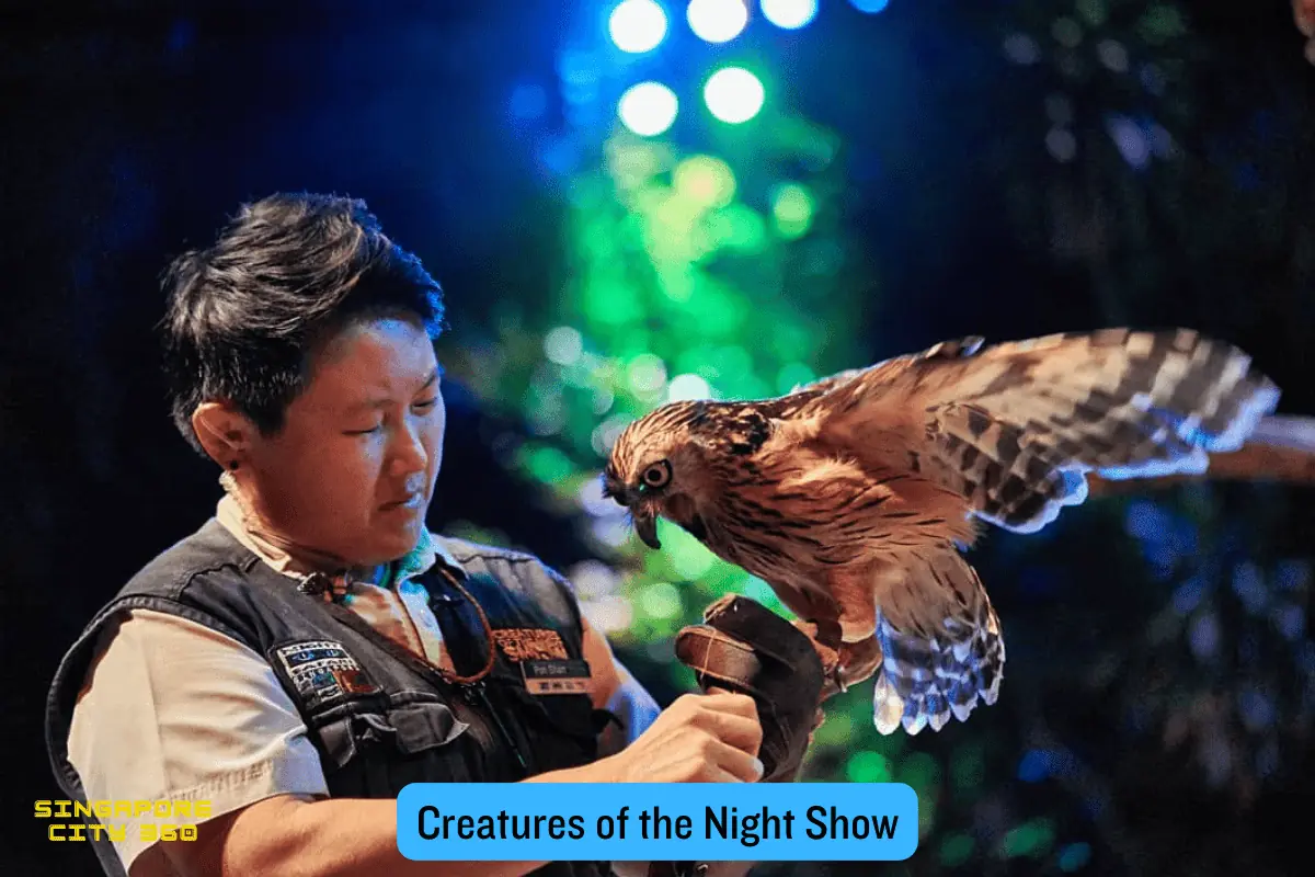 Creatures of the Night presentation on stage at the Night Safari Amphitheatre