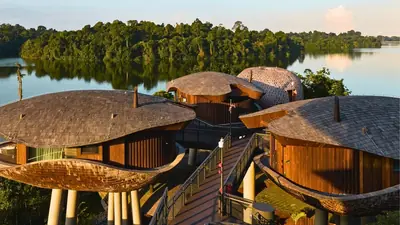 Mandai Rainforest Resort by Banyan Tree — Mandai Rainforest Resort by Banyan Tree — resort in Mandai, Singapore