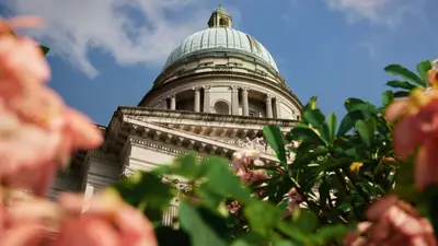 National Gallery Singapore — The domed former Supreme Court building, now National Gallery Singapore, framed by pink blossom