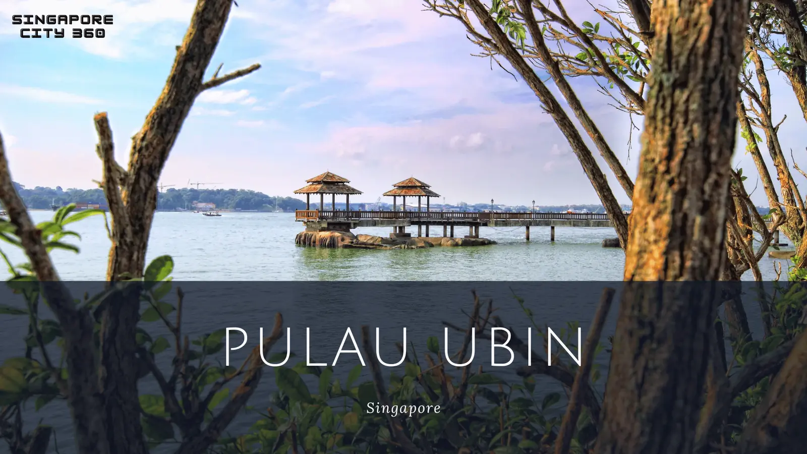 Rustic kampong houses and an unpaved track on Pulau Ubin, Singapore's last village island