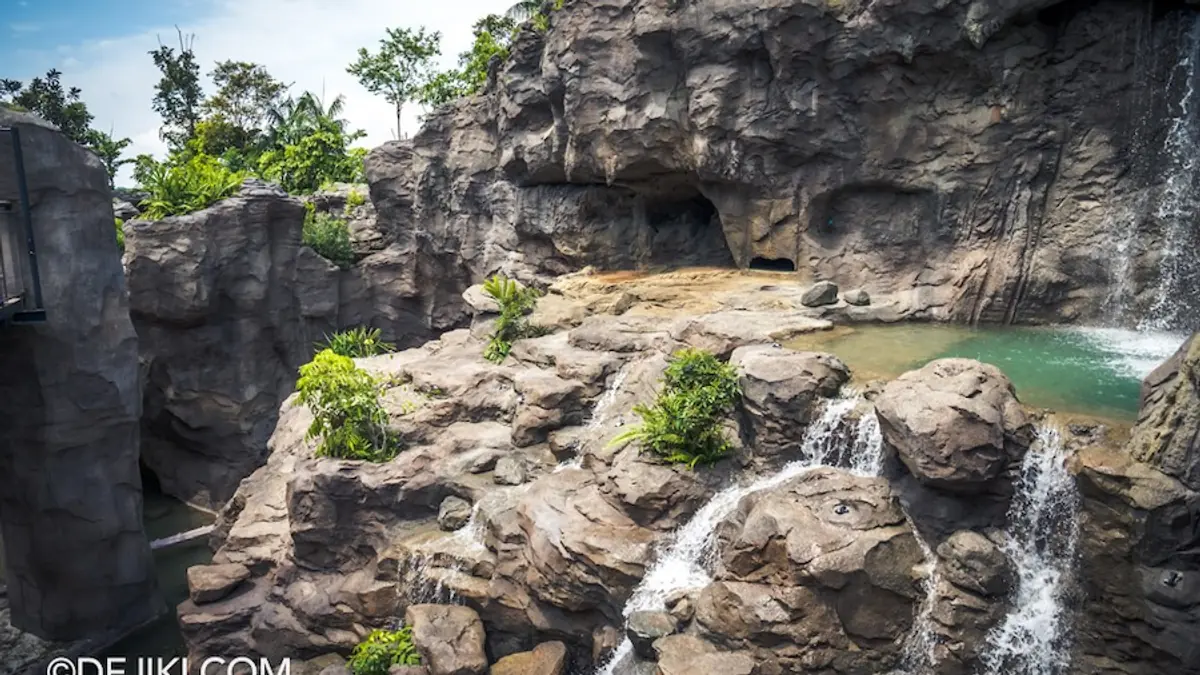 Rainforest Wild Asia — Rainforest Wild Asia, Singapore
