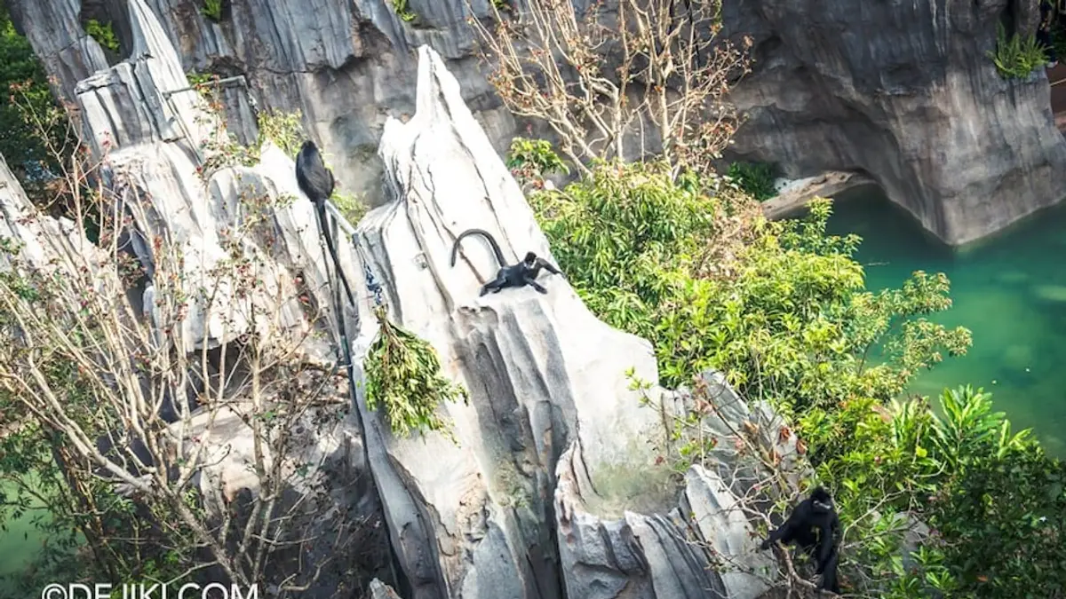 Rainforest Wild Asia — Rainforest Wild Asia, Singapore