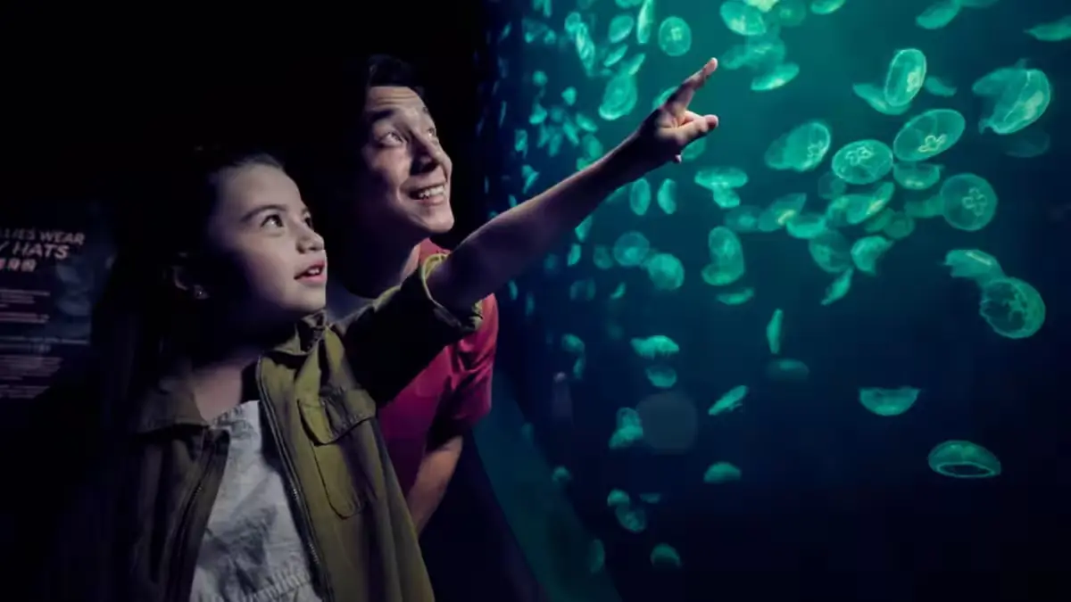 Singapore Oceanarium — Singapore Oceanarium, Singapore — twilight waves