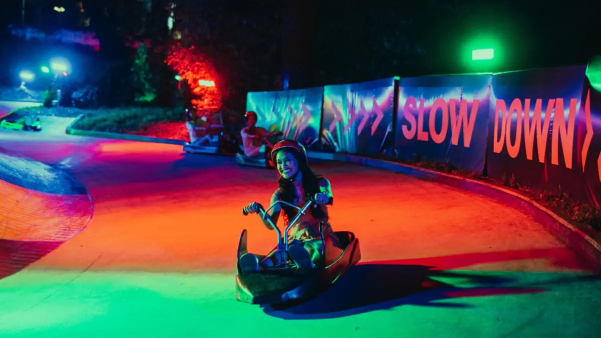 Skyline Luge Singapore — Skyline Luge Singapore — night luge