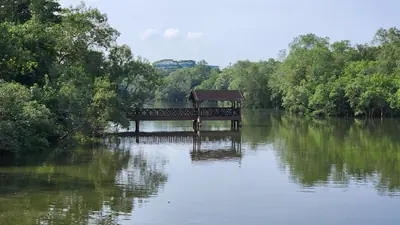 Sungei Buloh Wetland Reserve — Sungei Buloh Wetland Reserve — park in northern Singapore, Singapore