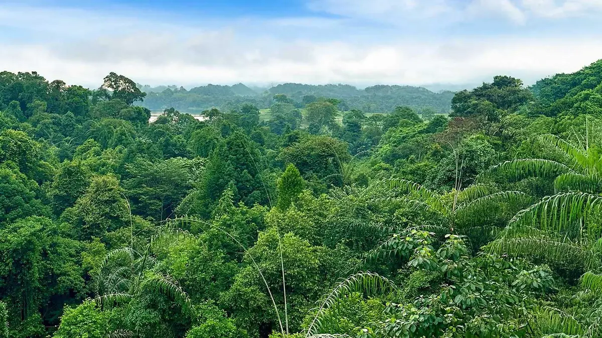 Windsor Nature Park — Windsor Nature Park, Singapore — sheiswanderlust