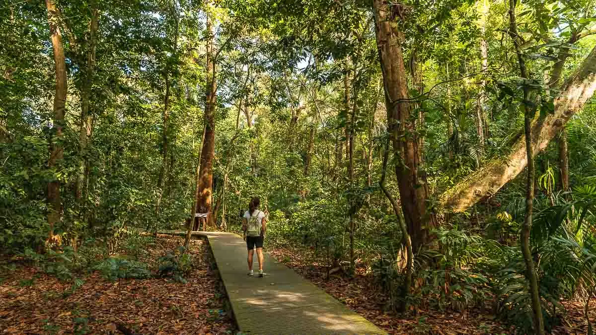 Windsor Nature Park — Windsor Nature Park, Singapore — hiking