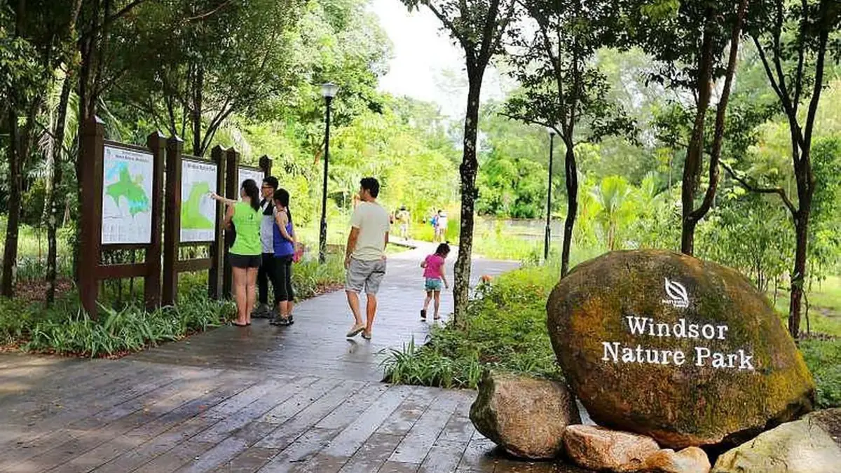 Windsor Nature Park — Windsor Nature Park, Singapore — homedecor sph