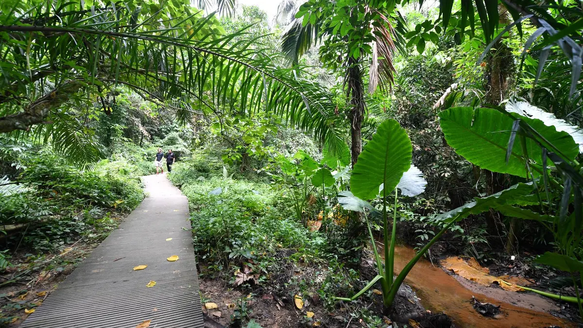Windsor Nature Park — Windsor Nature Park, Singapore — justrunlah