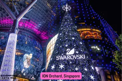Orchard Road shopping belt in Singapore, with mall facades and shoppers along the tree-lined pavement