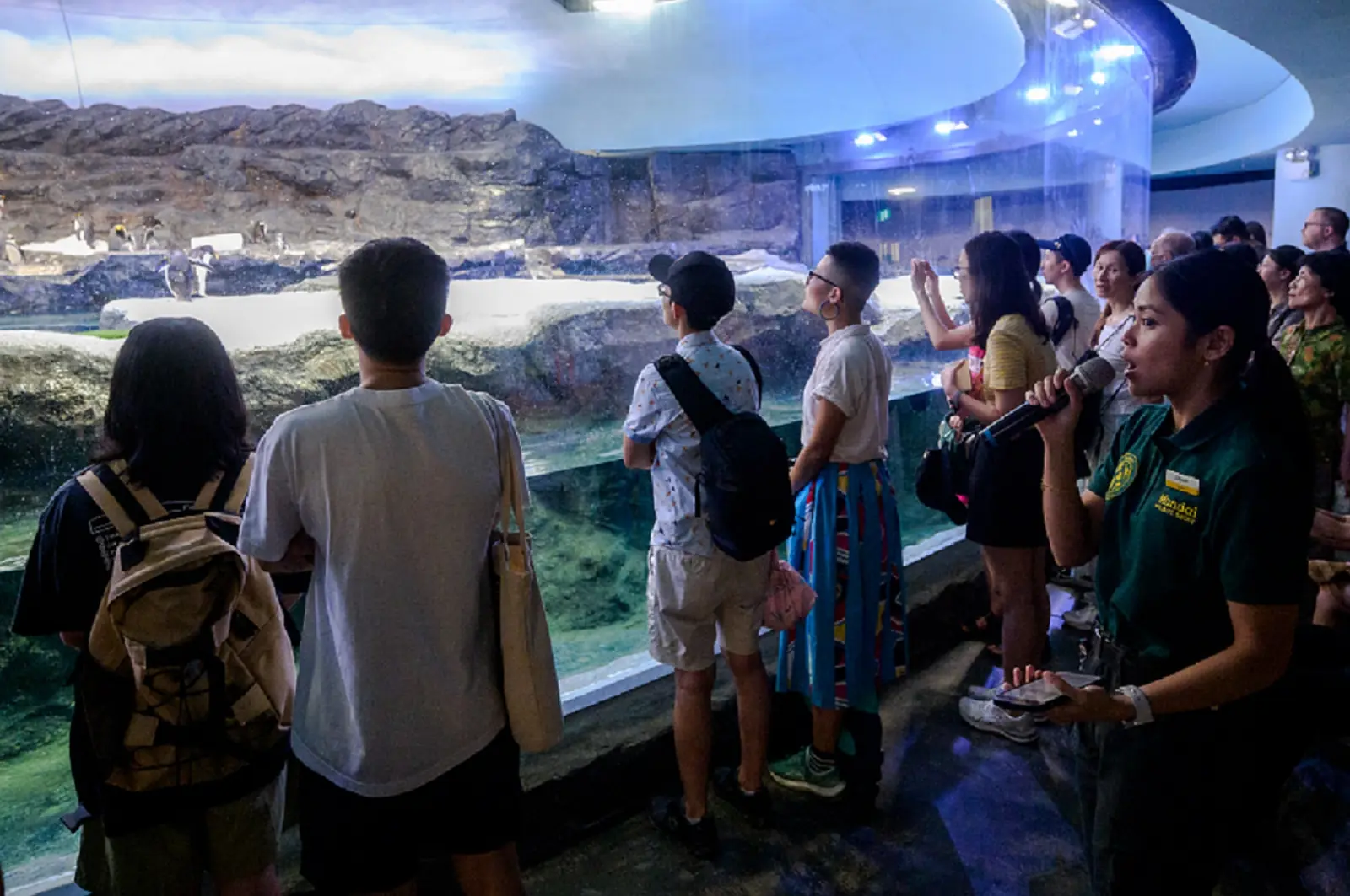 Bird Paradise — Penguin keeper Nuralyanti Jasni giving the first Keeper Talk at the Ocean Network Express Penguin Cove at Bird Paradise, Singapore