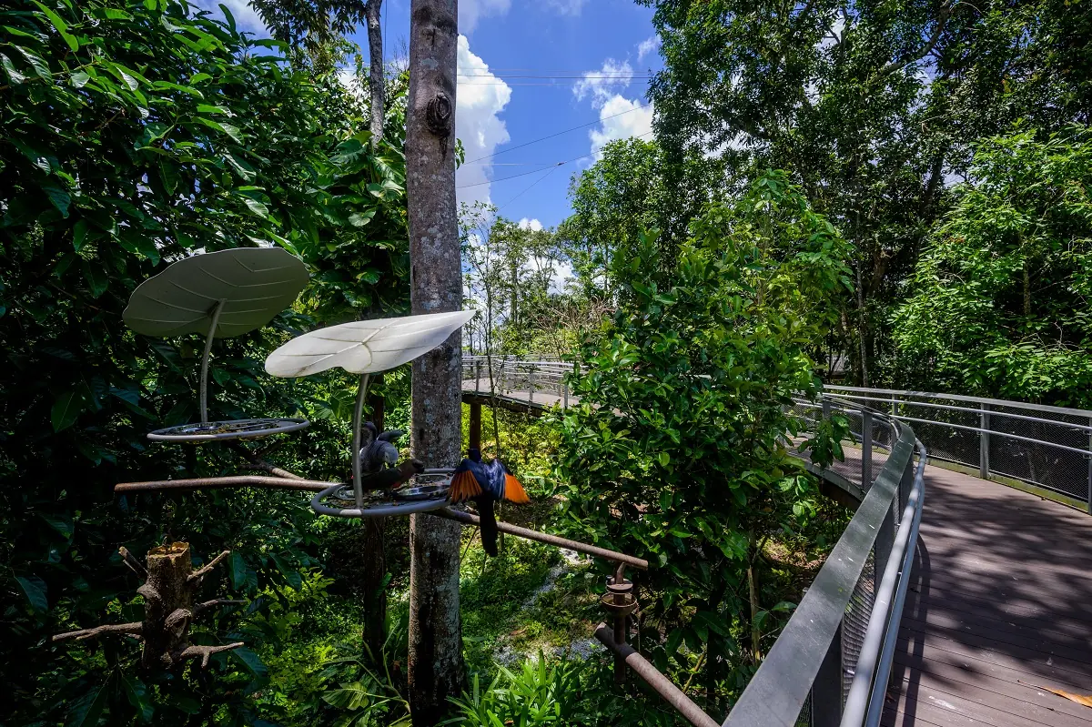 Bird Paradise — Heart of Africa at Bird Paradise, Singapore