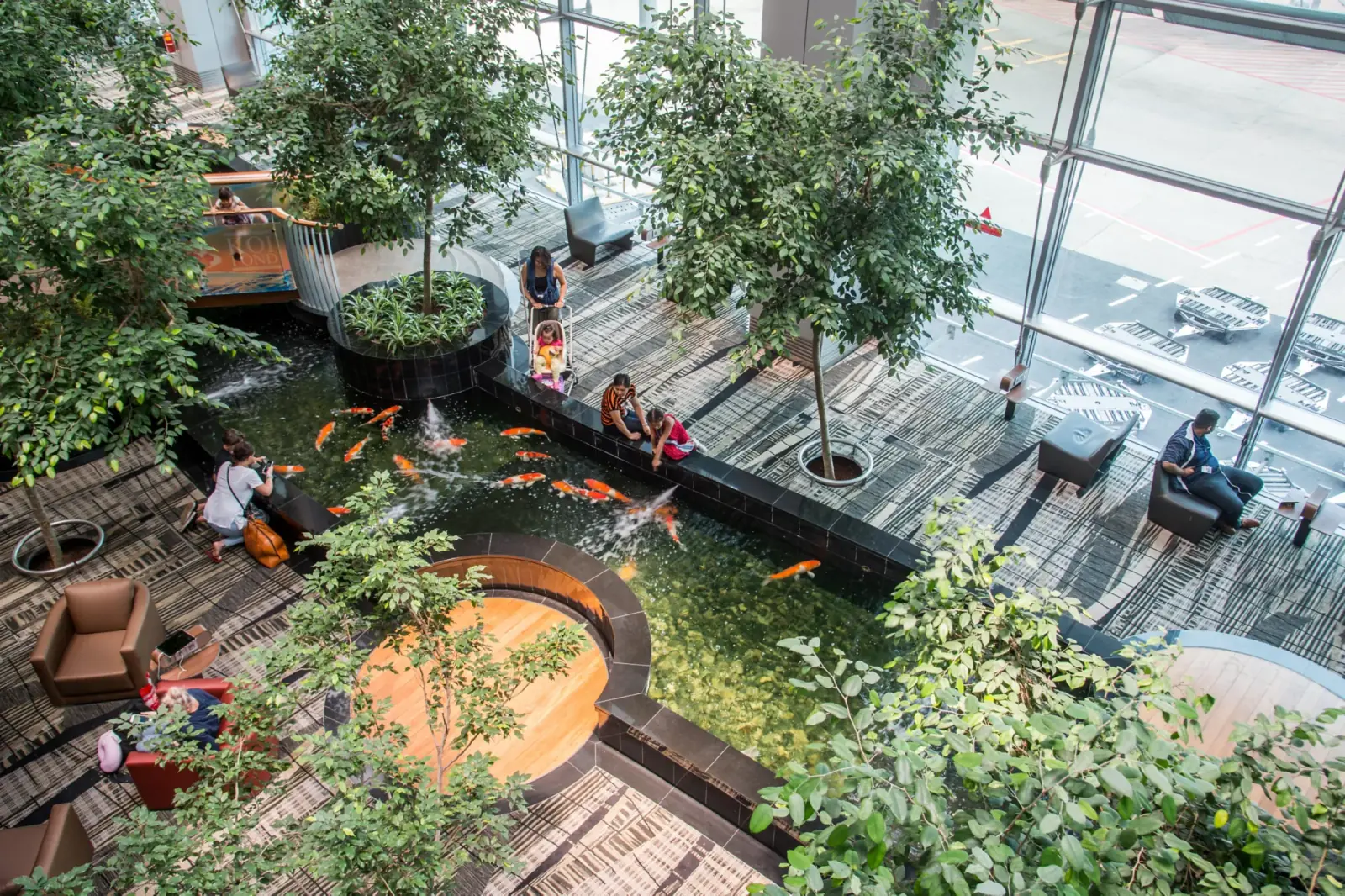 Changi Airport — The koi pond at Terminal 3, Changi Airport