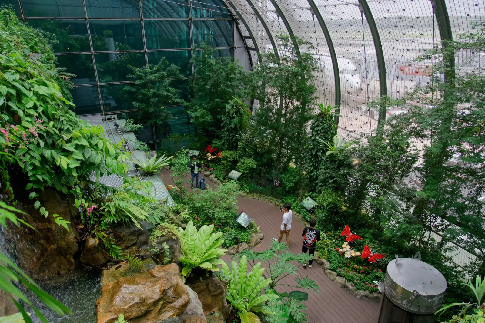 Changi Airport — The Butterfly Garden at Terminal 3, Changi Airport, a tropical enclosure with live butterflies