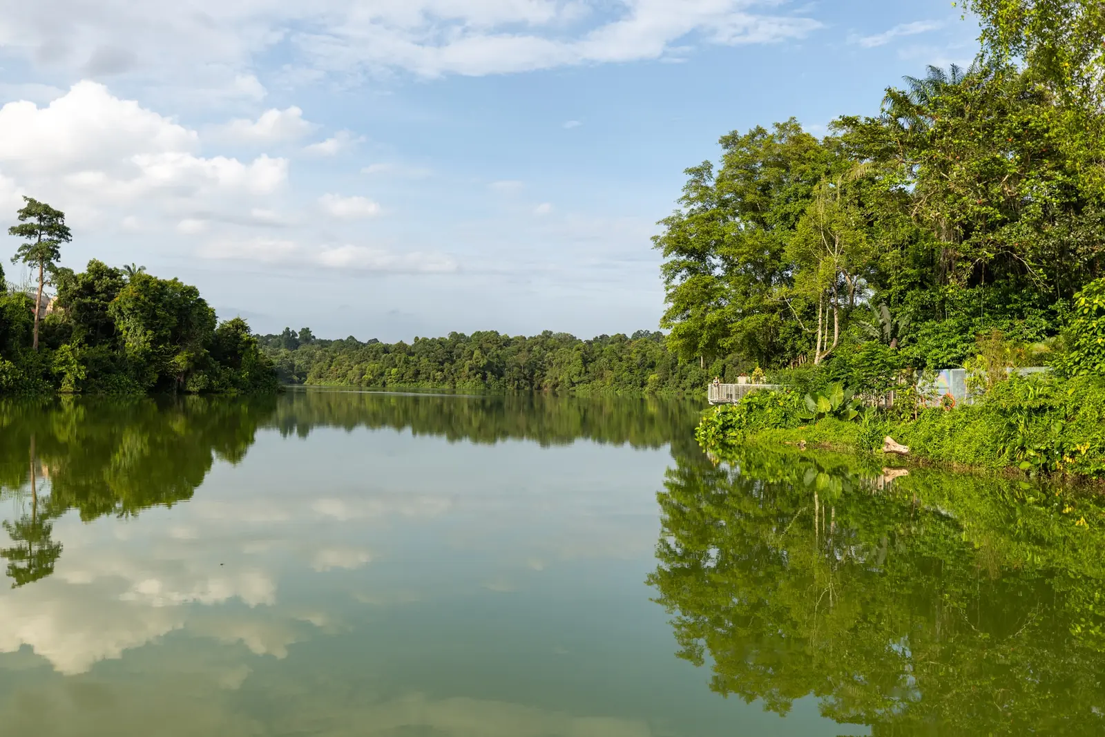 Mandai Wildlife West — The Mandai Boardwalk was carefully planned to be built in an environmentally sensitive manner at Mandai Wildlife West, Singapore