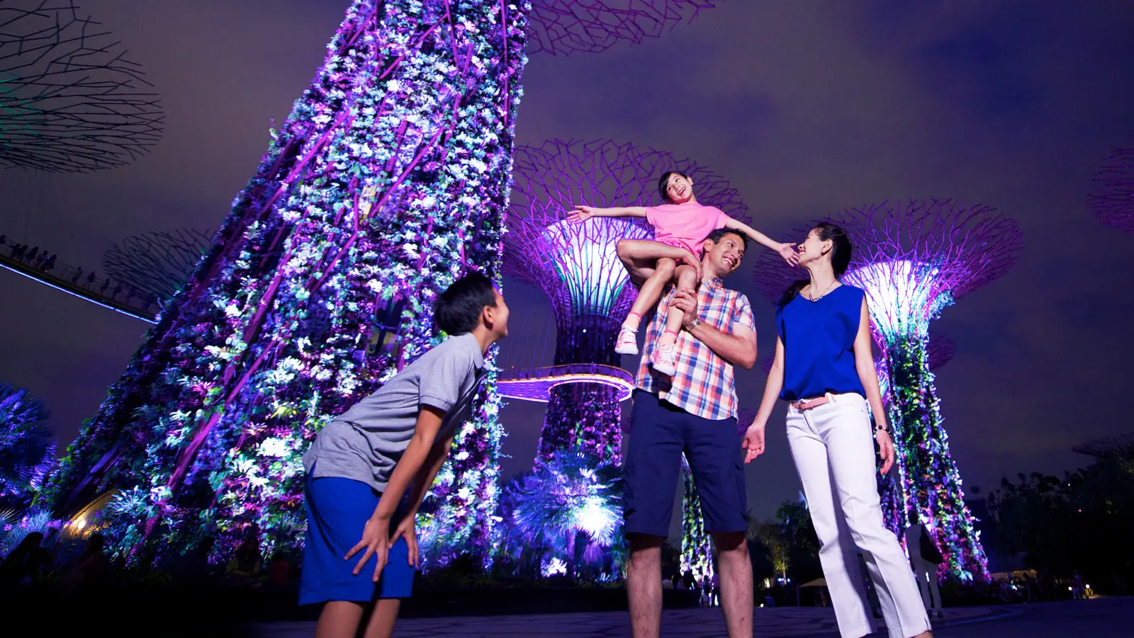 The lit Supertree Grove at Gardens by the Bay, Singapore's most photographed spot, glowing against the night sky