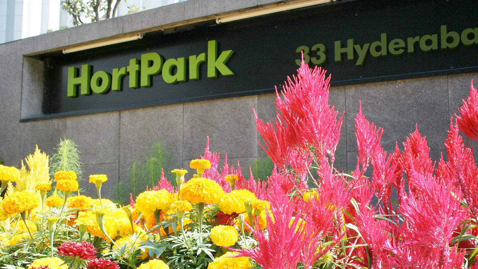 HortPark — Escape the buzz of the city at HortPark, Singapore.