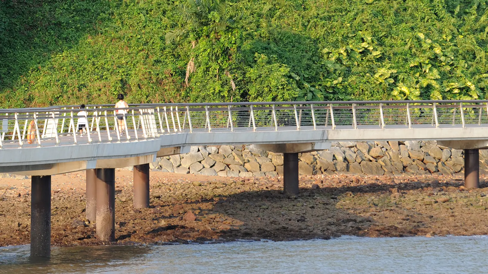 Labrador Nature Reserve — Labrador Nature Reserve in Singapore is a beautiful park that is rich with biodiversity.