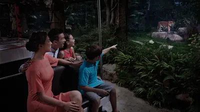 Night Safari — Enter a world of nocturnal creatures at the Night Safari, Singapore.