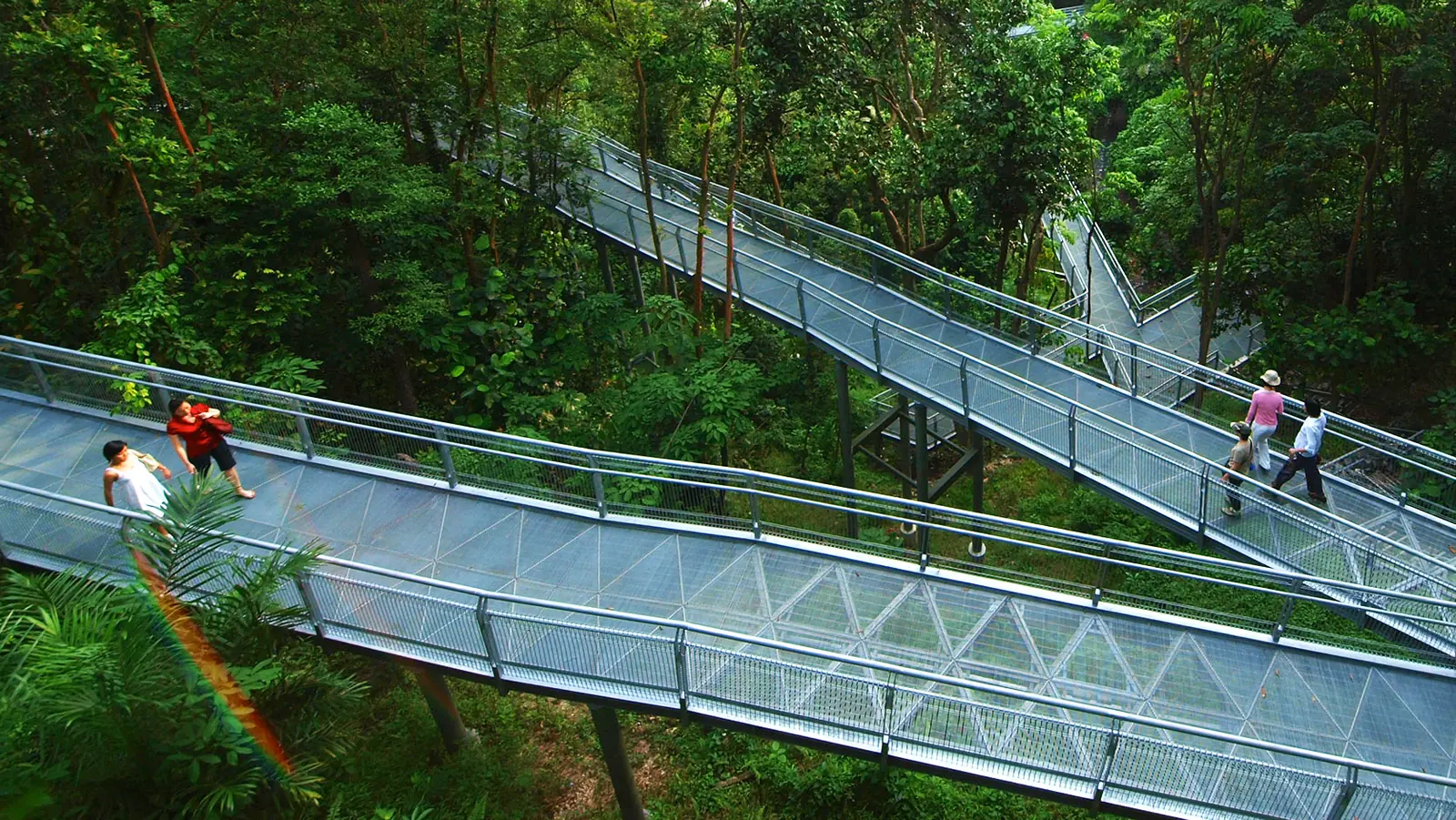 Southern Ridges — Elevated forest walkway along the Southern Ridges, Singapore
