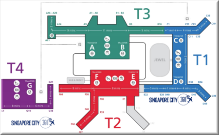 Layovers at Singapore Changi Airport: A Wild Adventure Awaits ...