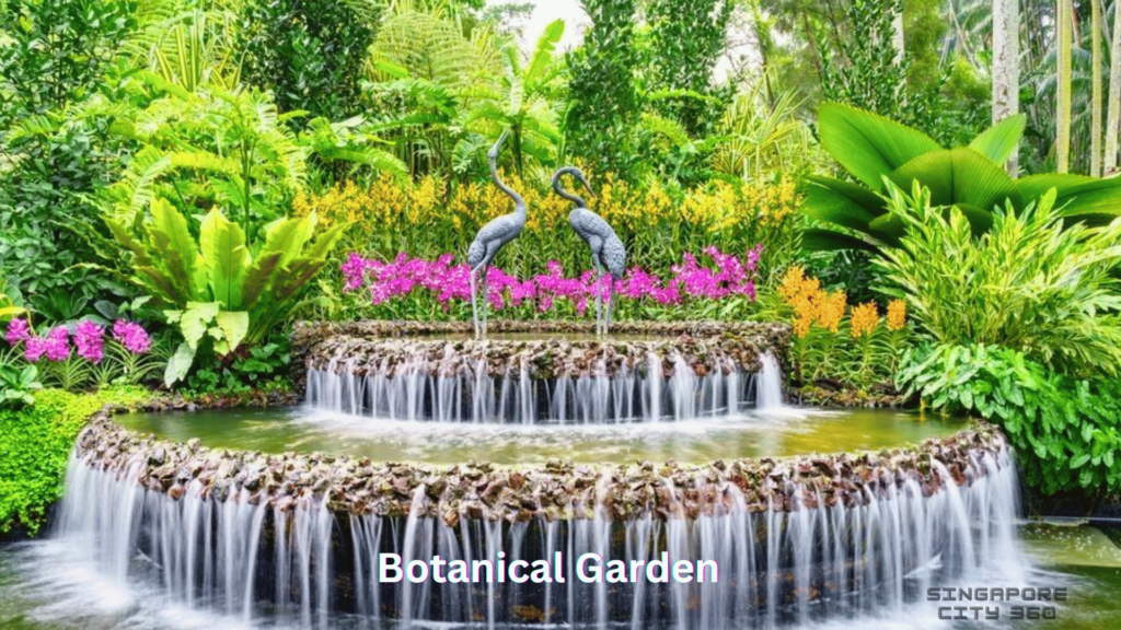 botanical garden