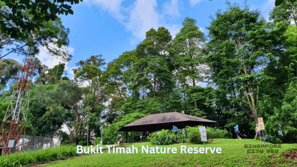 bukit timah nature reserve