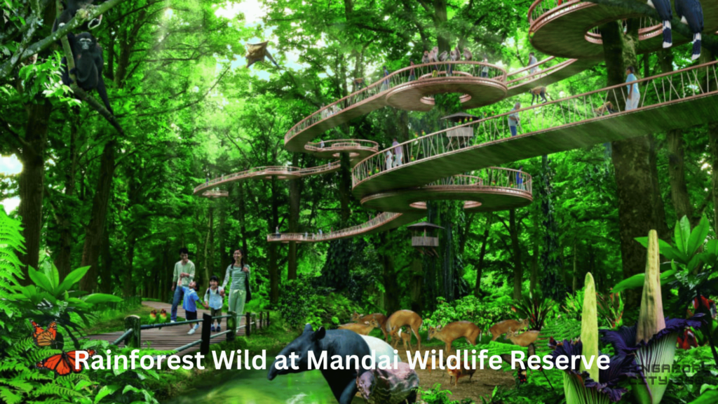 Rainforest Wild at Mandai Wildlife Reserve